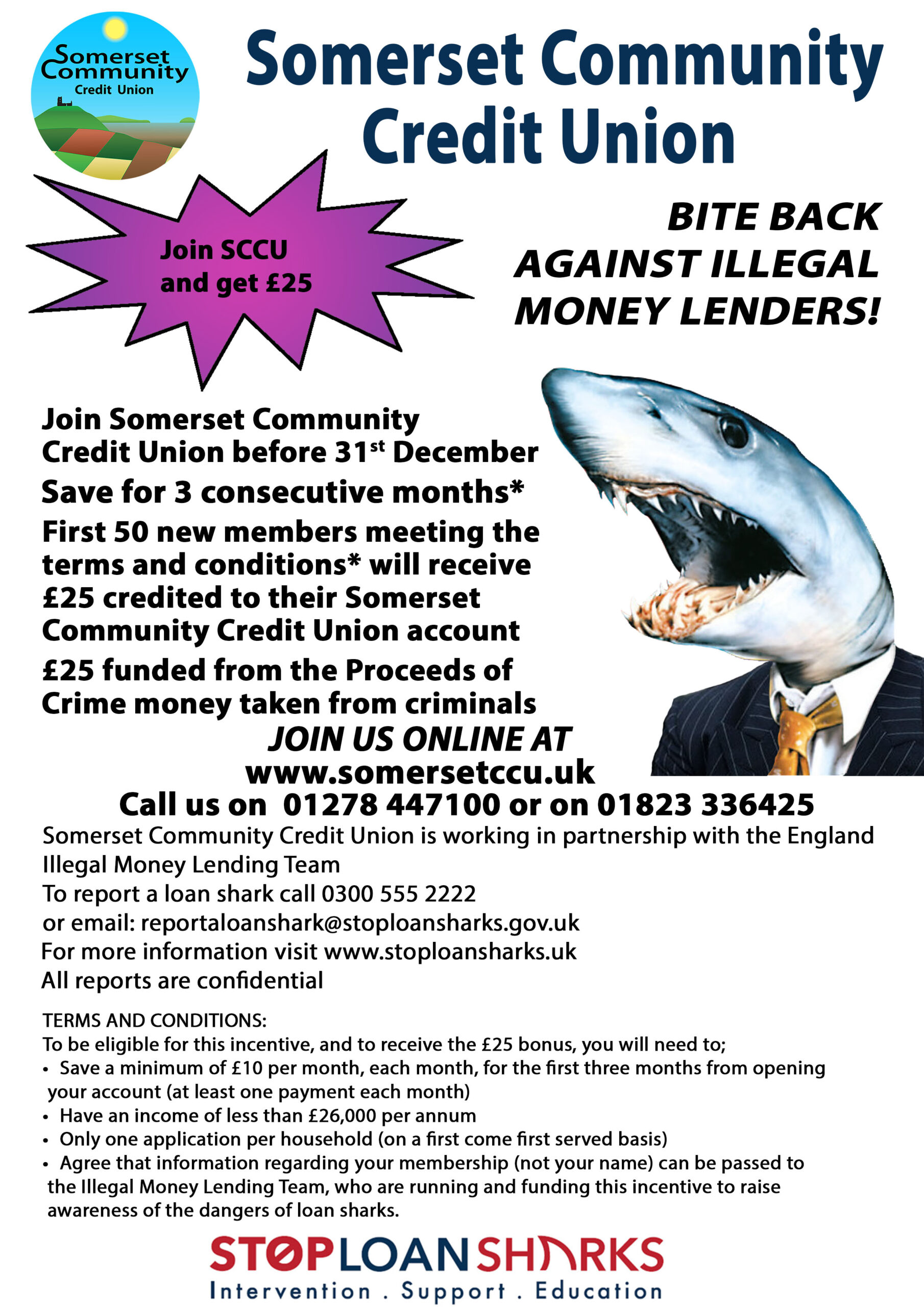 Dealing with Loan Sharks